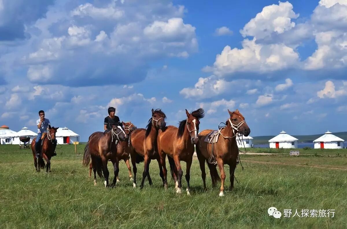 68月暑期纵马驰聘呼伦贝尔大草原体验游牧民族生活