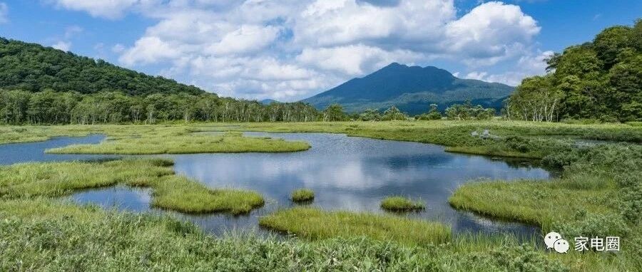 小家电的黄金周期还能继续吗?