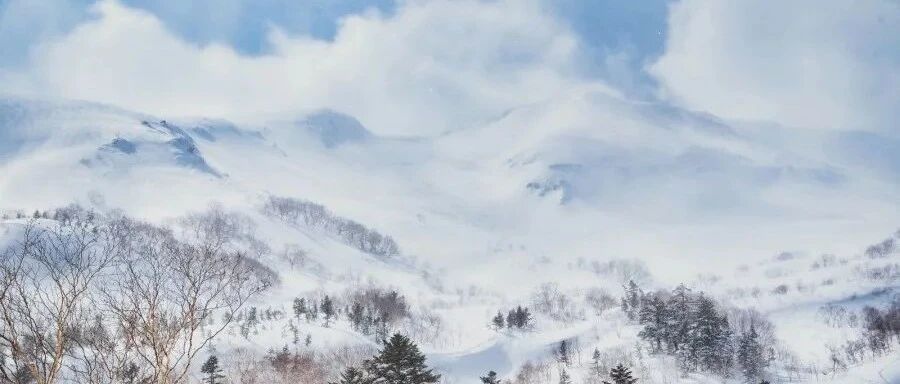 本周家电圈:产业唱新曲,长虹康佳格力日立苏宁美的海尔迎春来