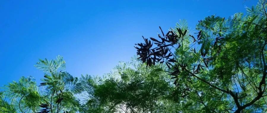 本周家电圈:三季报喜忧,海尔美的格力海信长虹华帝追觅双驱动