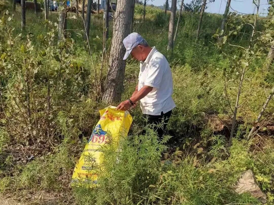 【攻坚不停歇 实干促发展】九龙街道国庆节期间扎实推进各项工作有序开展
