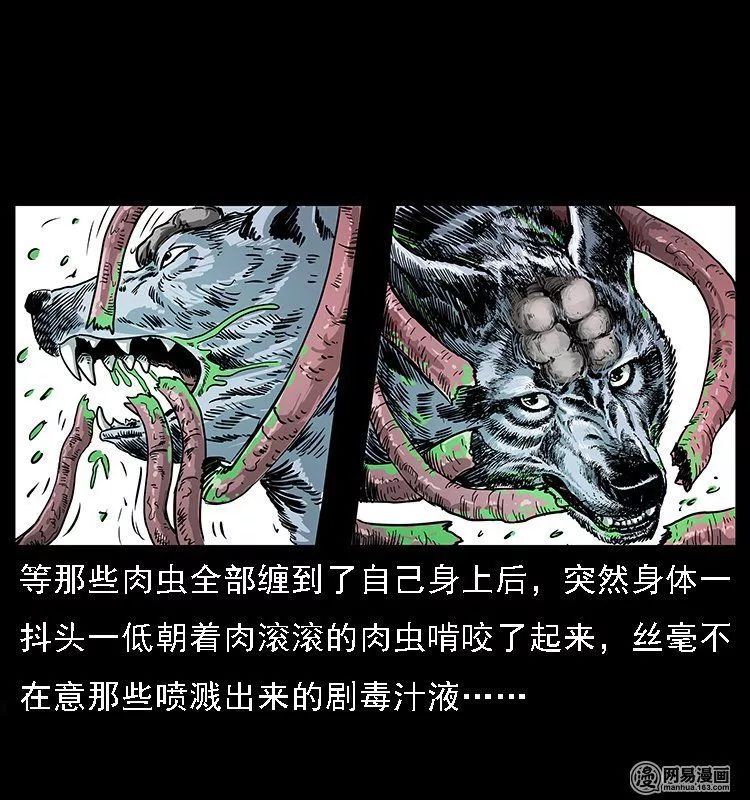 ͼƬ
