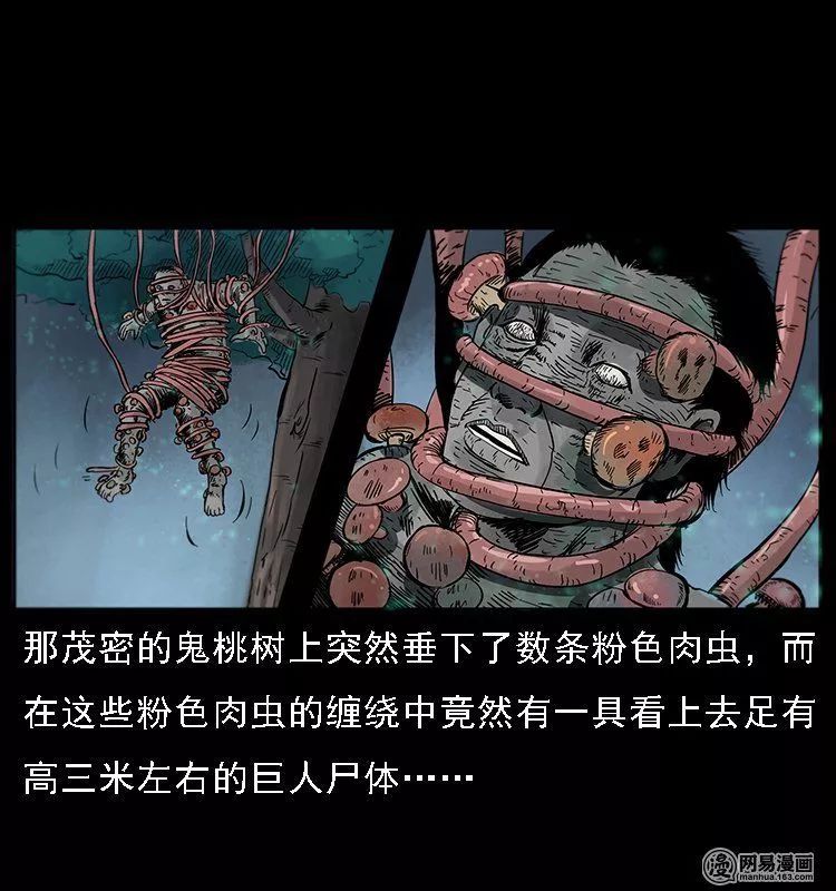 ͼƬ
