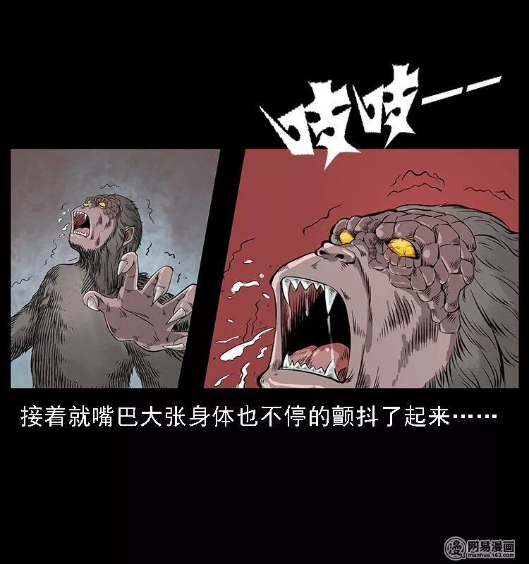 ͼƬ