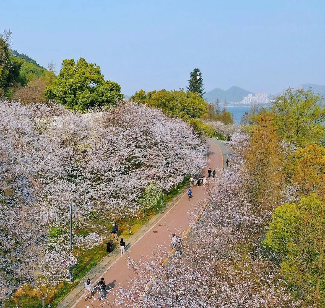 黄石团城山公园图片图片