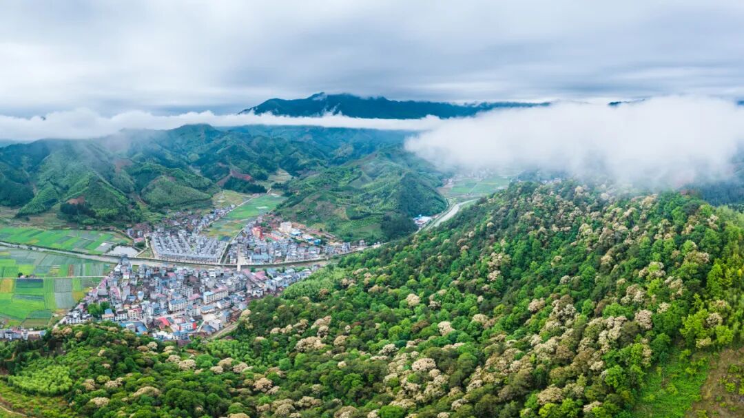 市级动态南平再拿第一2023年省级林长制督查考核结果公布