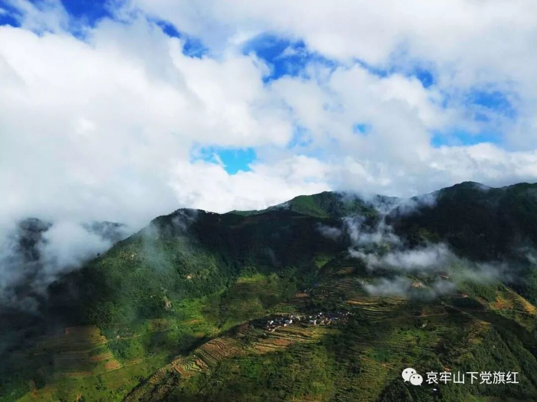 新华村精准扶贫 绿水青山变金山银山 哀牢山下党旗红 微信公众号文章阅读 Wemp