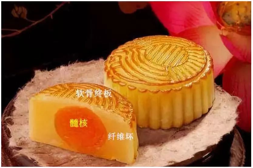 广州白云山医院
