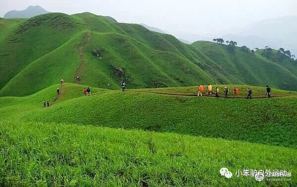 (5)8.31-2人间仙境绿色武功山，带你看尽云海落日，草原星空-户外活动图-驼铃网