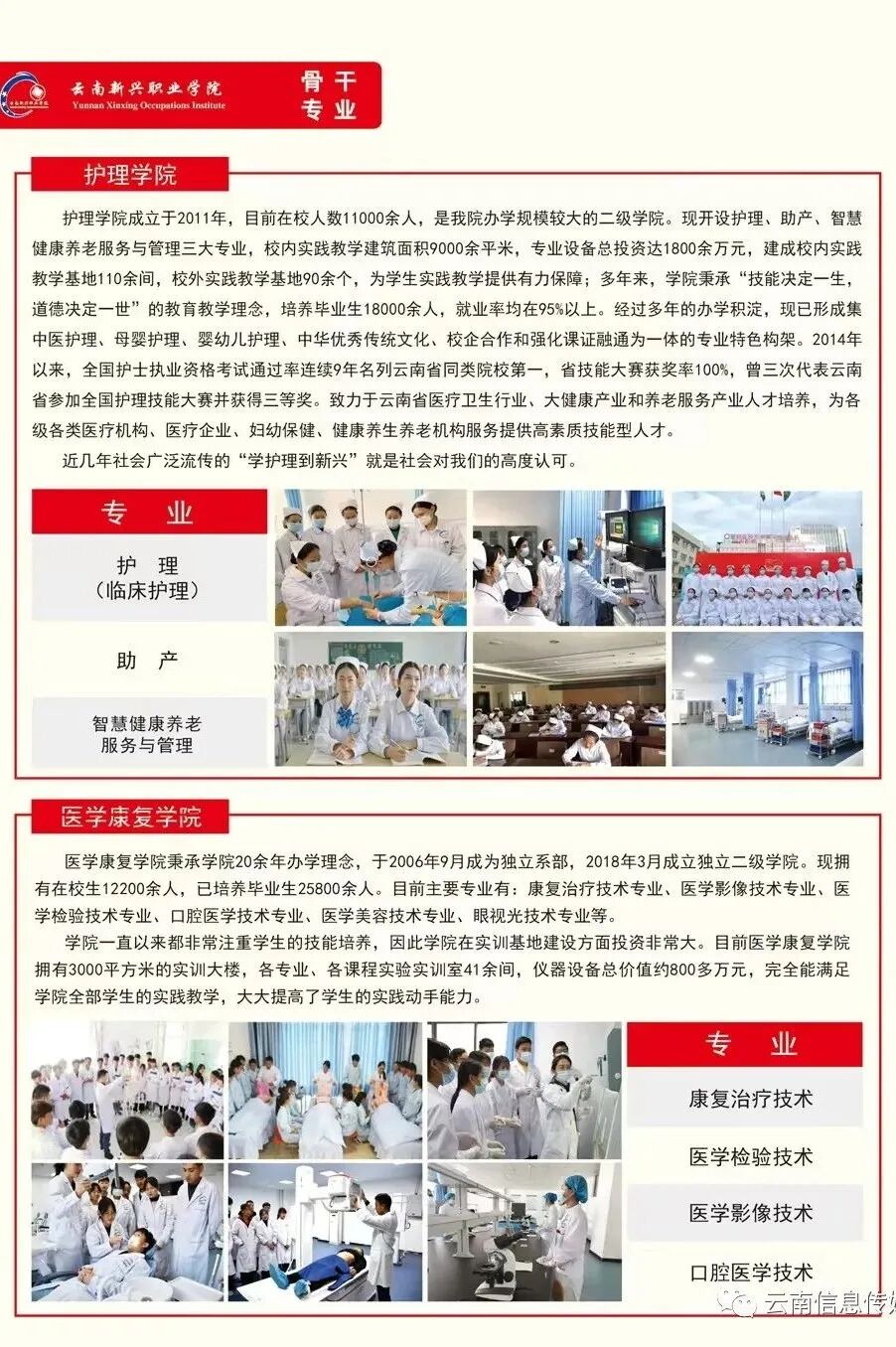 云南新兴职业学院2024招生简章