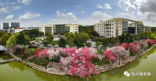 三峡大学是211还是985 我国唯一惨遭降级的大学分校从211降为二本，本部却成了985