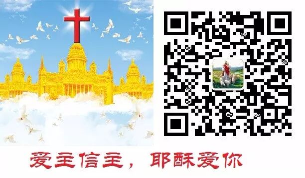 信望爱 自由微信 Freewechat