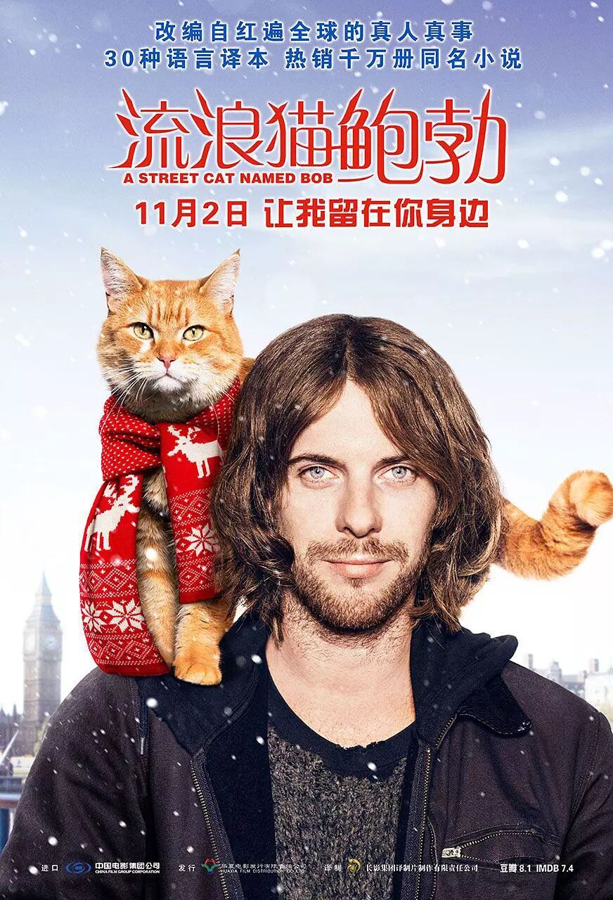 连凯特王妃也拜倒的神奇橘猫！ - 恒业影城北京IMAX店 微信公众号文章 