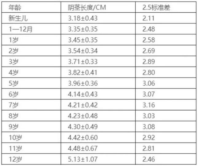 这个标准就是大多数正常孩子的"jj"长度,有人做了测量统计,见下表.