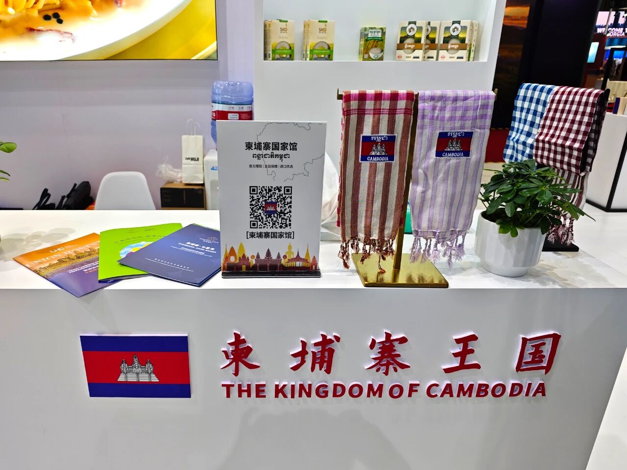 聚焦第八届进博会：滨海城市发展集团携七星海再赴全球合作之会