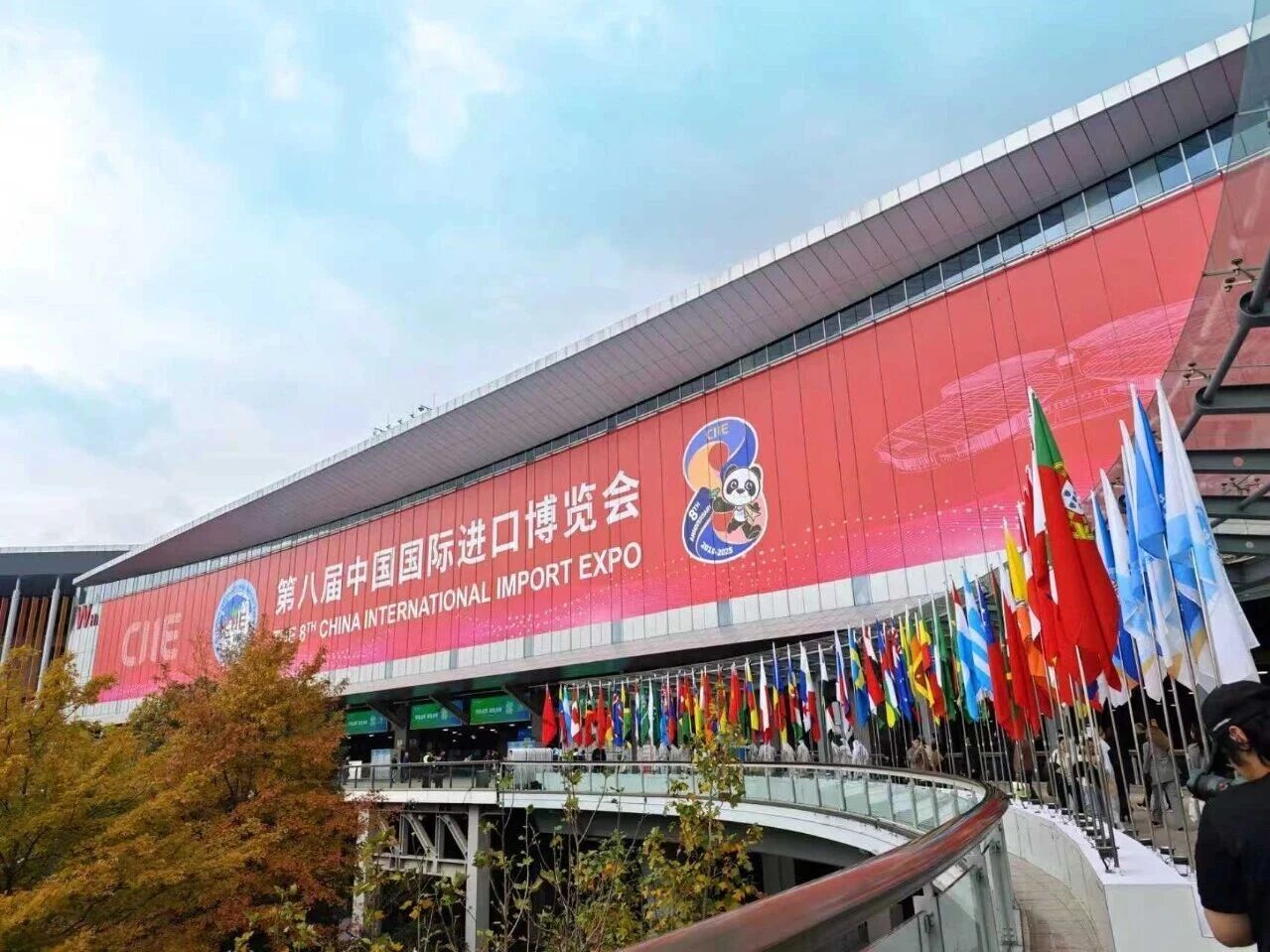 聚焦第八届进博会：滨海城市发展集团携七星海再赴全球合作之会