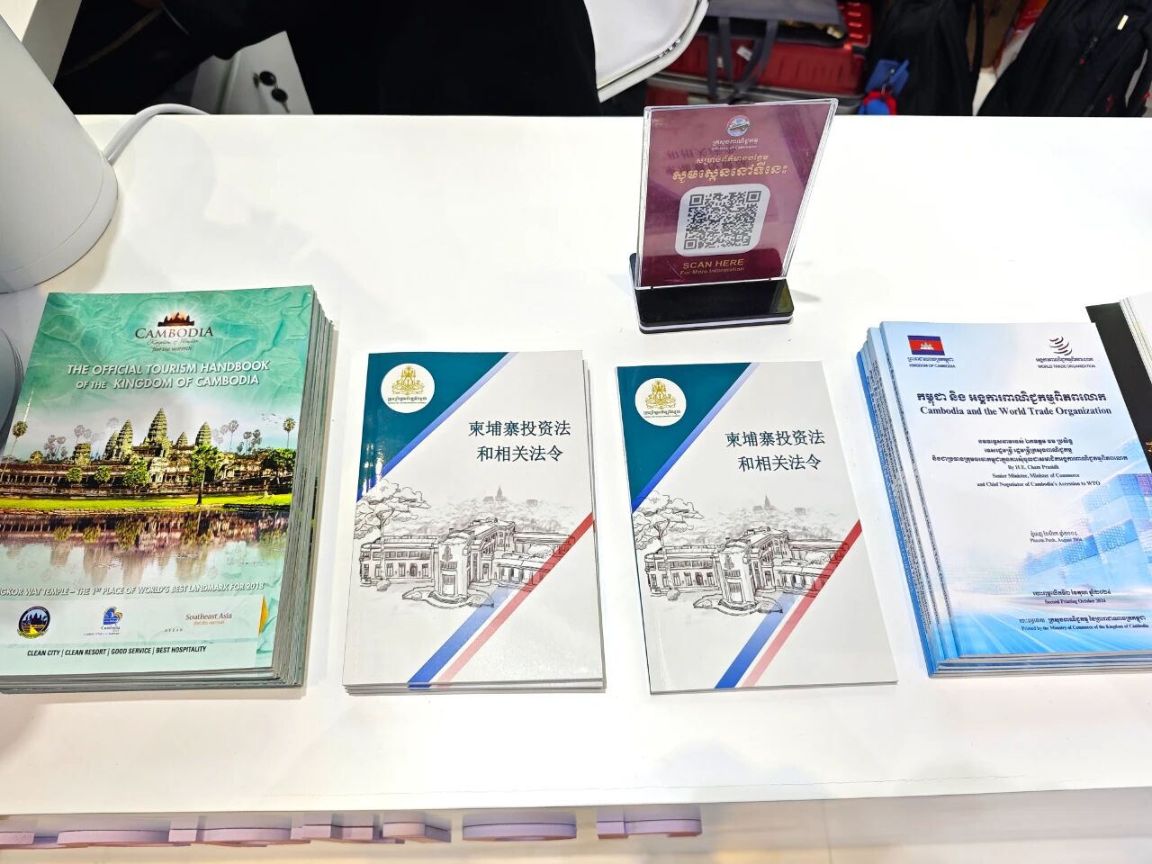 聚焦第八届进博会：滨海城市发展集团携七星海再赴全球合作之会