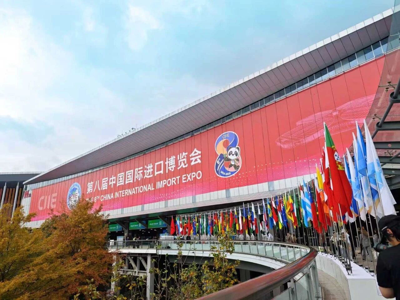 聚焦第八届进博会：滨海城市发展集团携七星海再赴全球合作之会