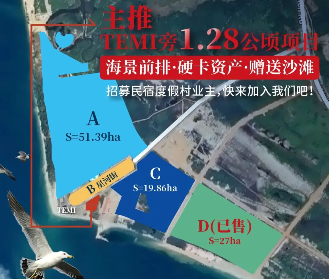 滨海城市半年刊带你领略精彩，新程砺进，机遇无限！