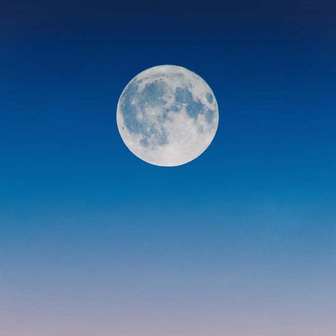中秋宴 | 七星海城市客户交流座谈会完满落幕