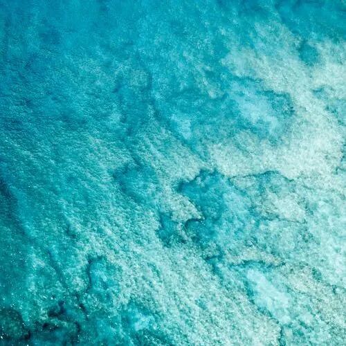 七星海城市 | 招聘风暴 大有可为