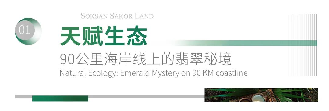不承诺收益｜海湖小镇首期82公顷土地产品：七星海?生态资产?康养栖居热卖中