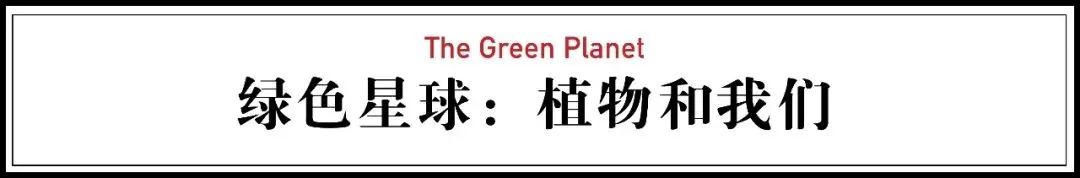 世界生存_世界中的生存之道_世间生物生存