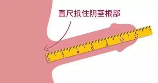 兄弟 大小 的烦恼 趣网vip 微信公众号文章阅读 Wemp