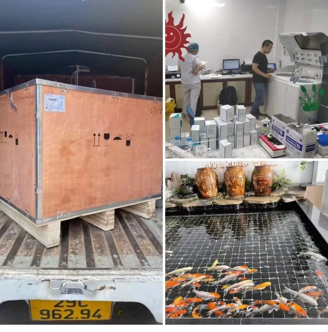 日本光电血球仪怎么样旅游博主二十天看IVD企业出海东南亚之乱象_https://www.jmylbn.com_新闻资讯_第1张