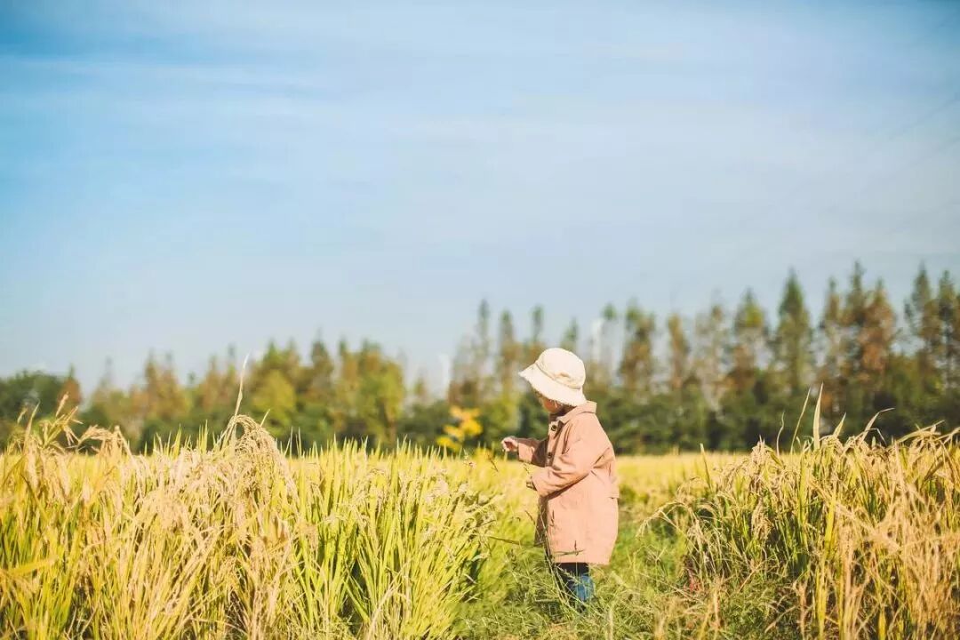 家庭教育 | 告诉孩子，什么才最重要（永久保存）
