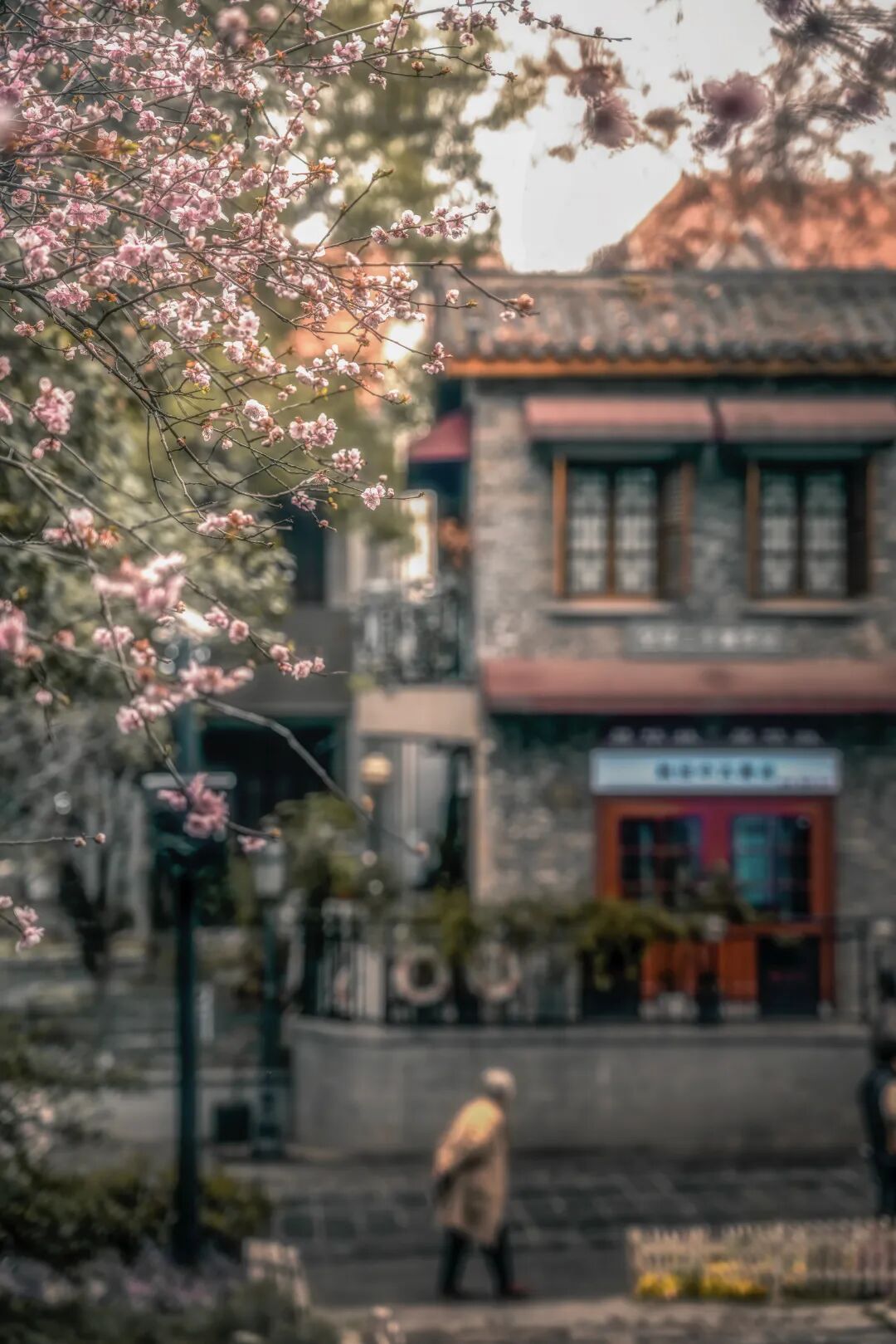 昙华林 城市摄影队 刘巍 摄.jpg