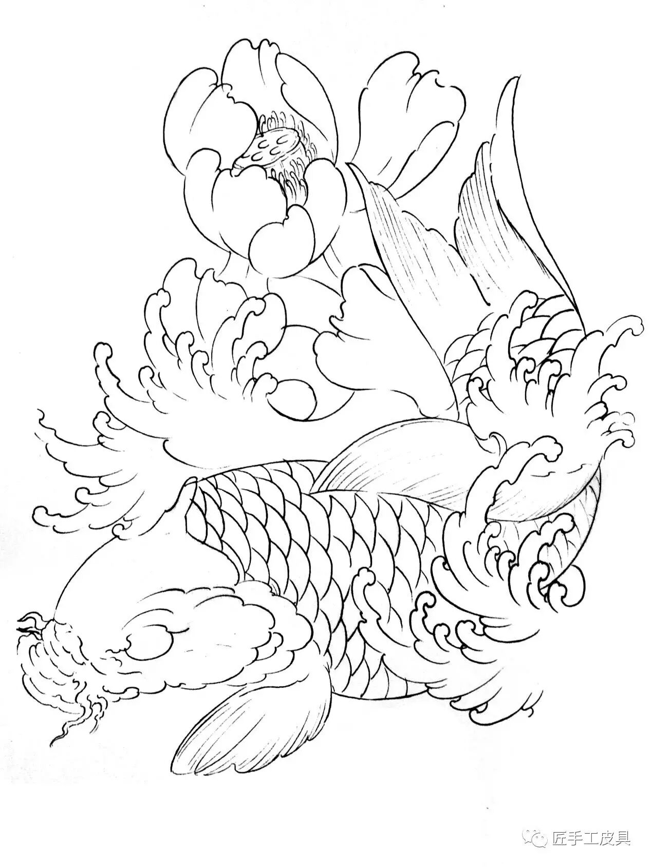 分享皮雕锦鲤图纸分享