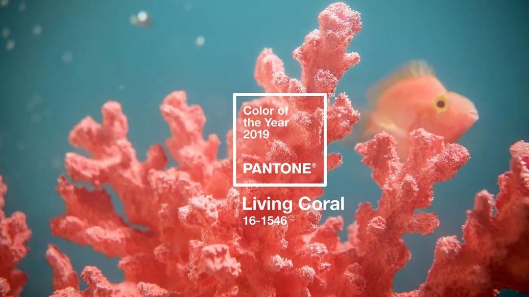 活力珊瑚橘，Pantone是這樣定義2019年的！ 家居 第3張