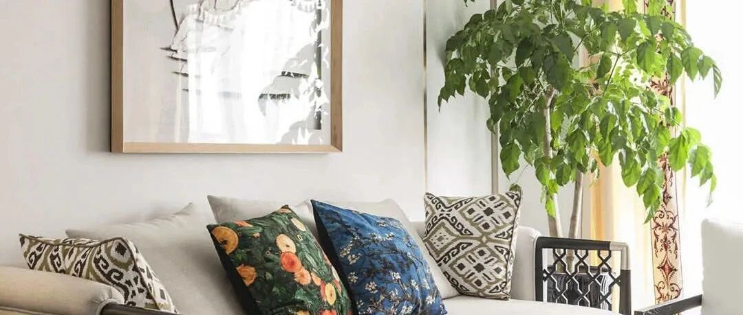 宅家也能零距离亲近自然？有这一株绿植就够了！