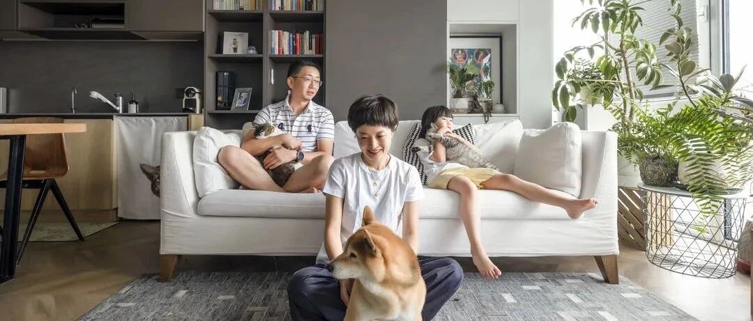 一狗二猫三人 100㎡的空间看见爱的温度