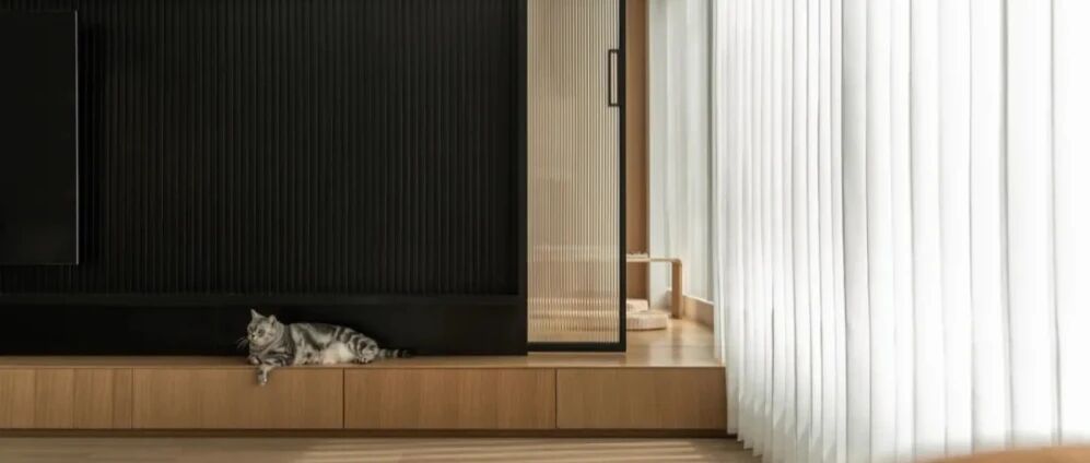 90后医生夫妻的167㎡不妥协家，有美食、阅读、舞蹈、宠物的真切生活