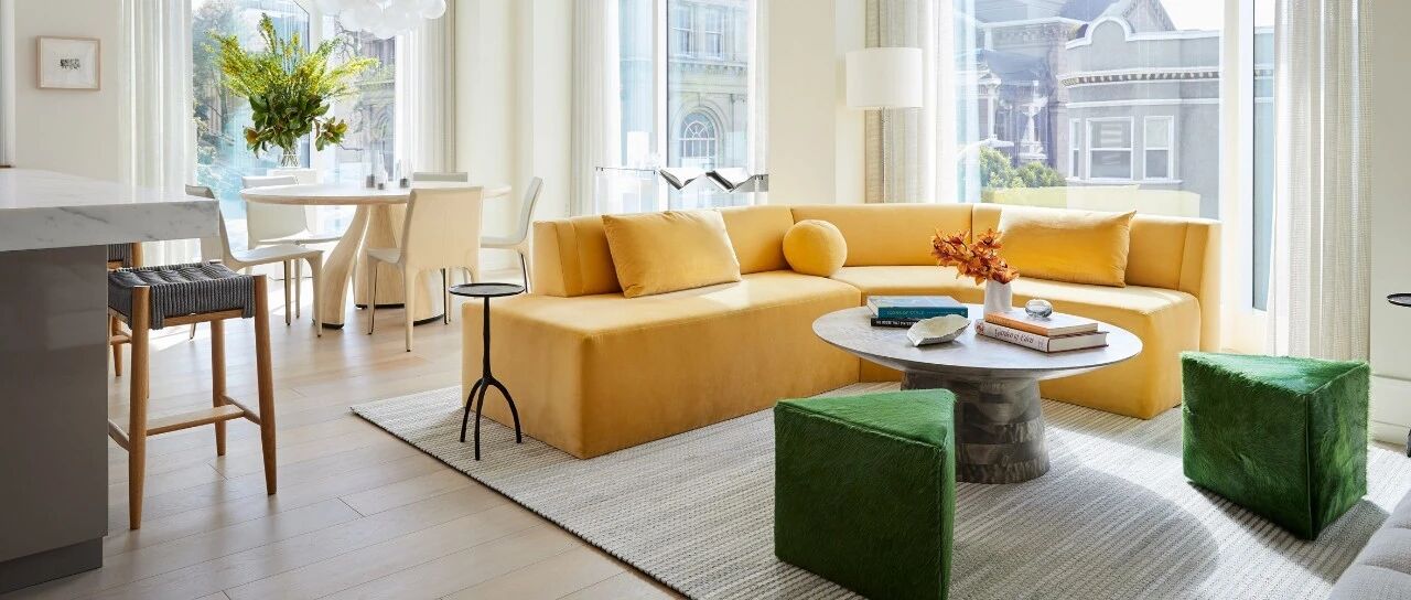 优雅与活力完美平衡的旧金山大公寓