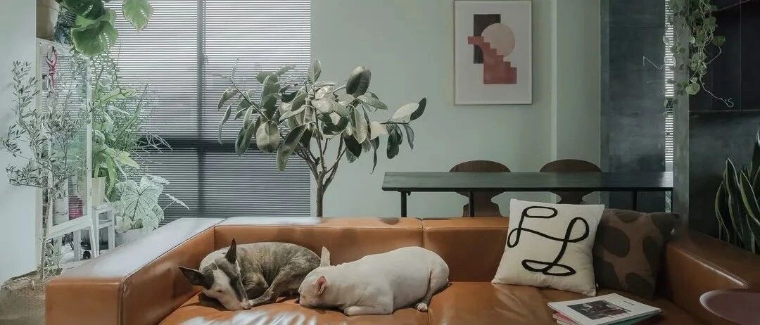 丁克夫妻买下100㎡房打造两居室，开启Airbnb「居住3.0模式」的家