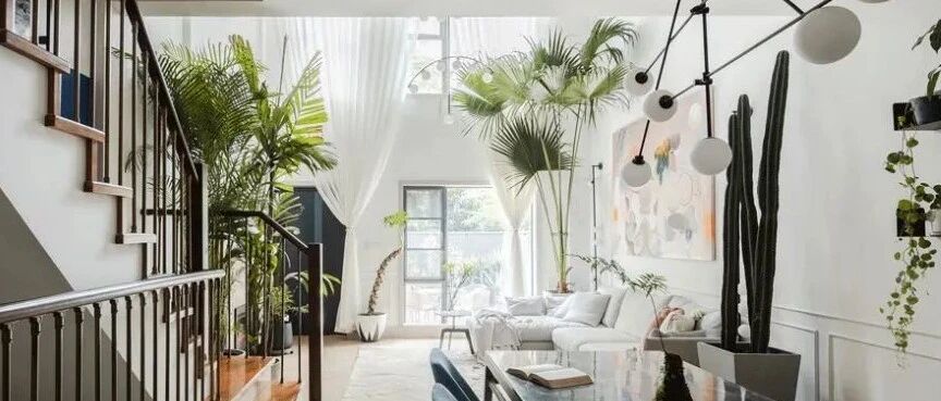 拈花惹草，逗猫弄狗，新时代三“宅”一生带盐人任性的白日梦想家