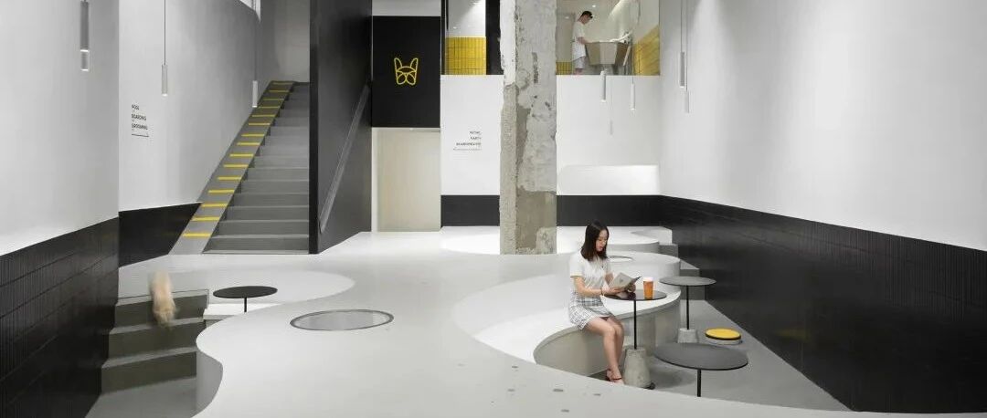 “喵星人”与“汪星人”的天堂，和主人一起去社交