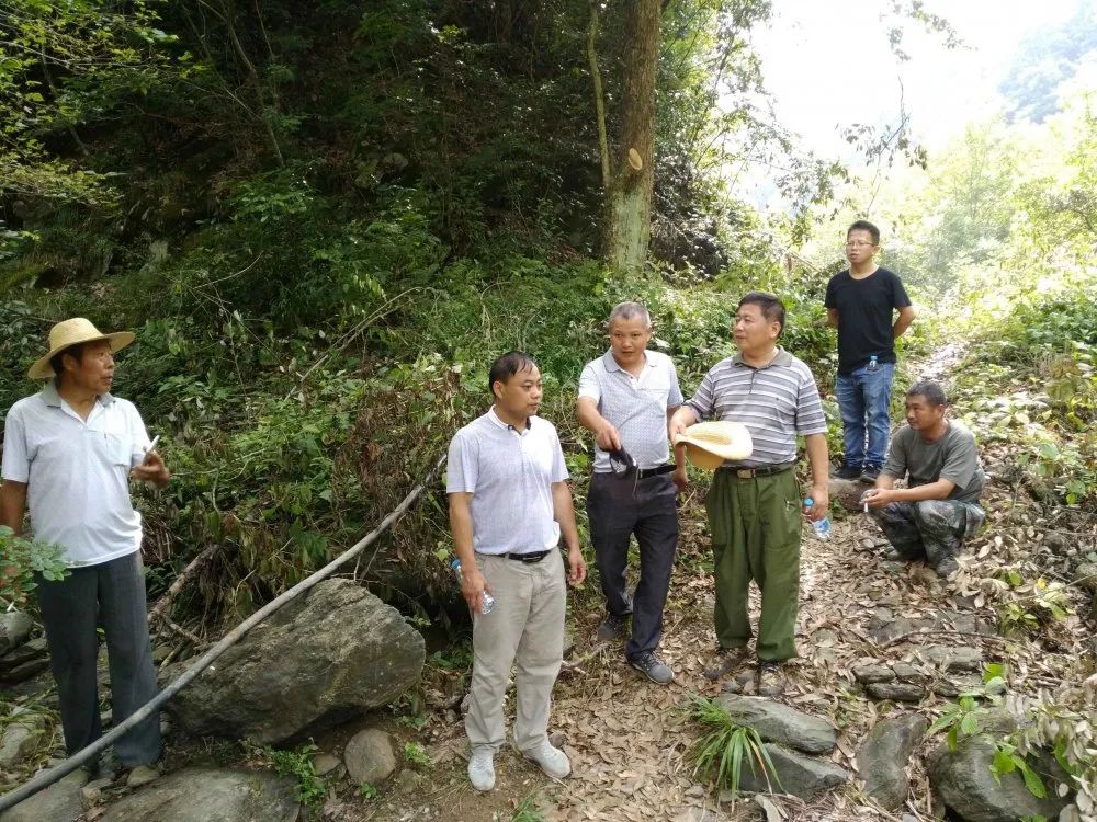 村医致富经免费完整版ab_致富小村医_村医致富经