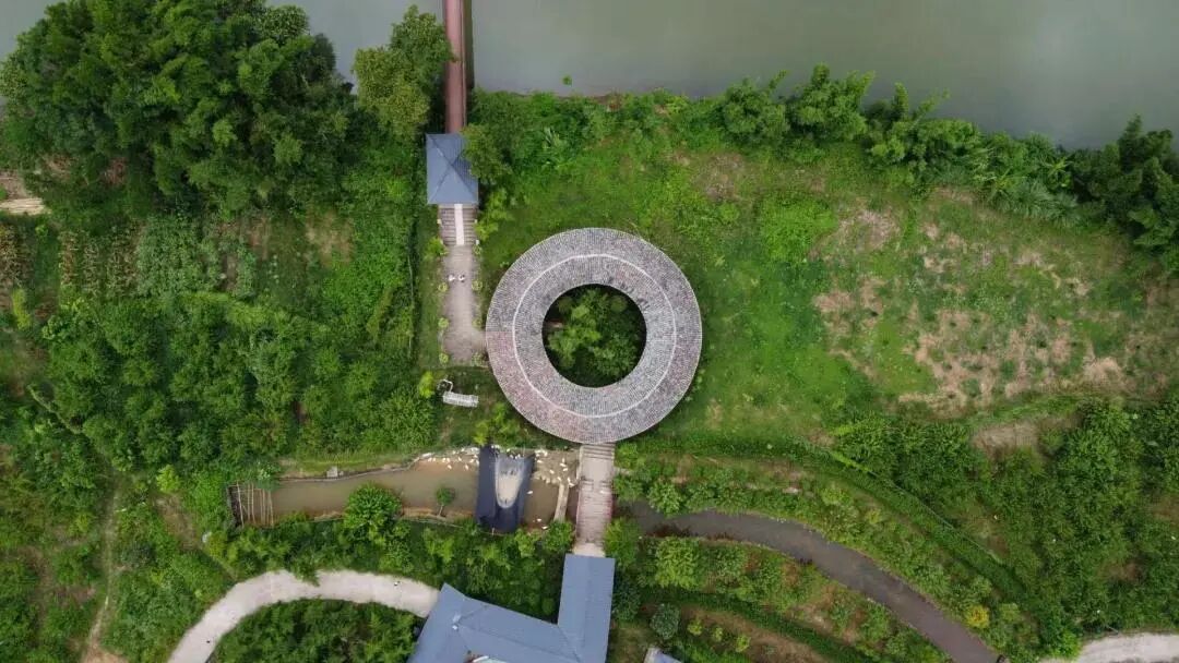 南雄赏银杏游玩攻略，看这一条就够了！(图43)