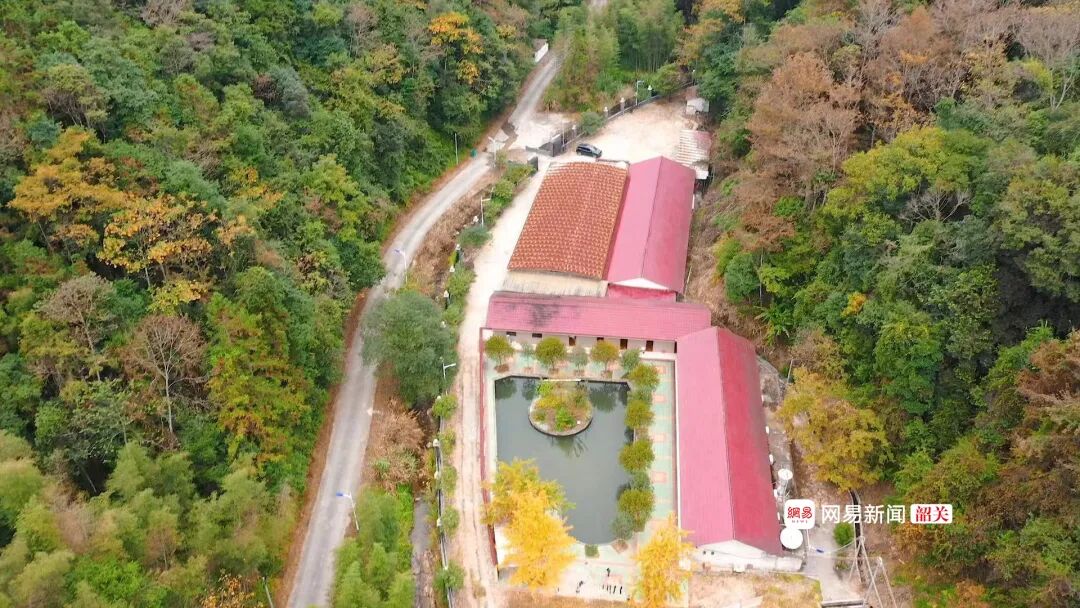 南雄赏银杏游玩攻略，看这一条就够了！(图33)