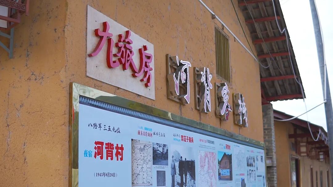 南雄赏银杏游玩攻略，看这一条就够了！(图41)