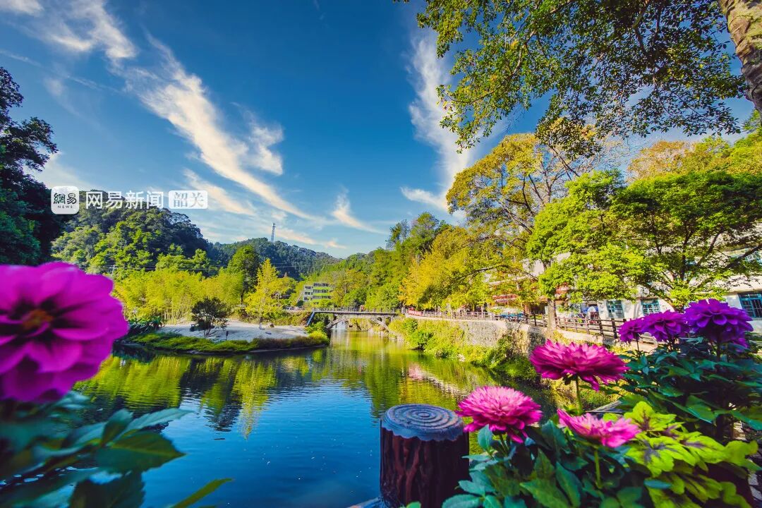 南雄赏银杏游玩攻略，看这一条就够了！(图24)