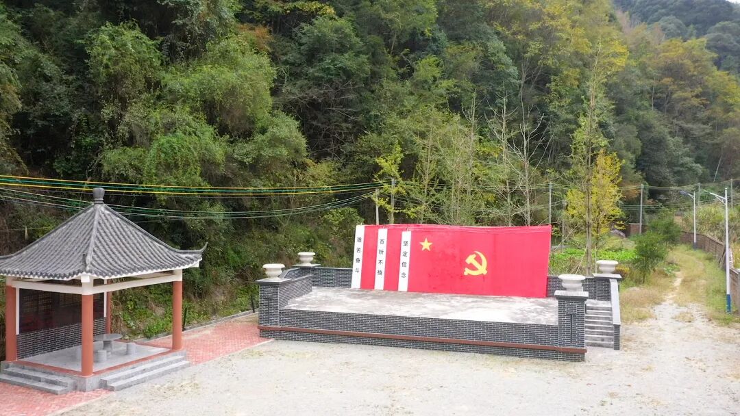 南雄赏银杏游玩攻略，看这一条就够了！(图38)