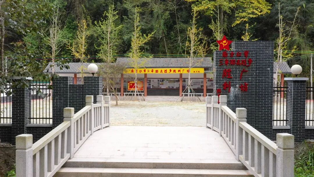 南雄赏银杏游玩攻略，看这一条就够了！(图37)