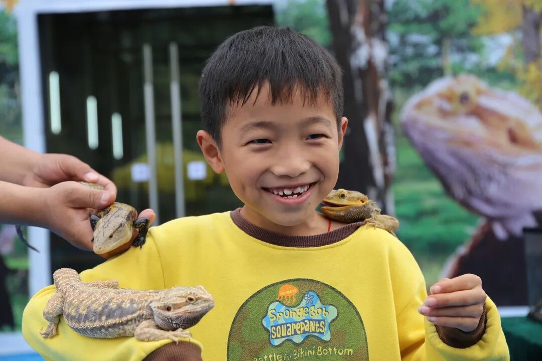 南雄赏银杏游玩攻略，看这一条就够了！(图30)