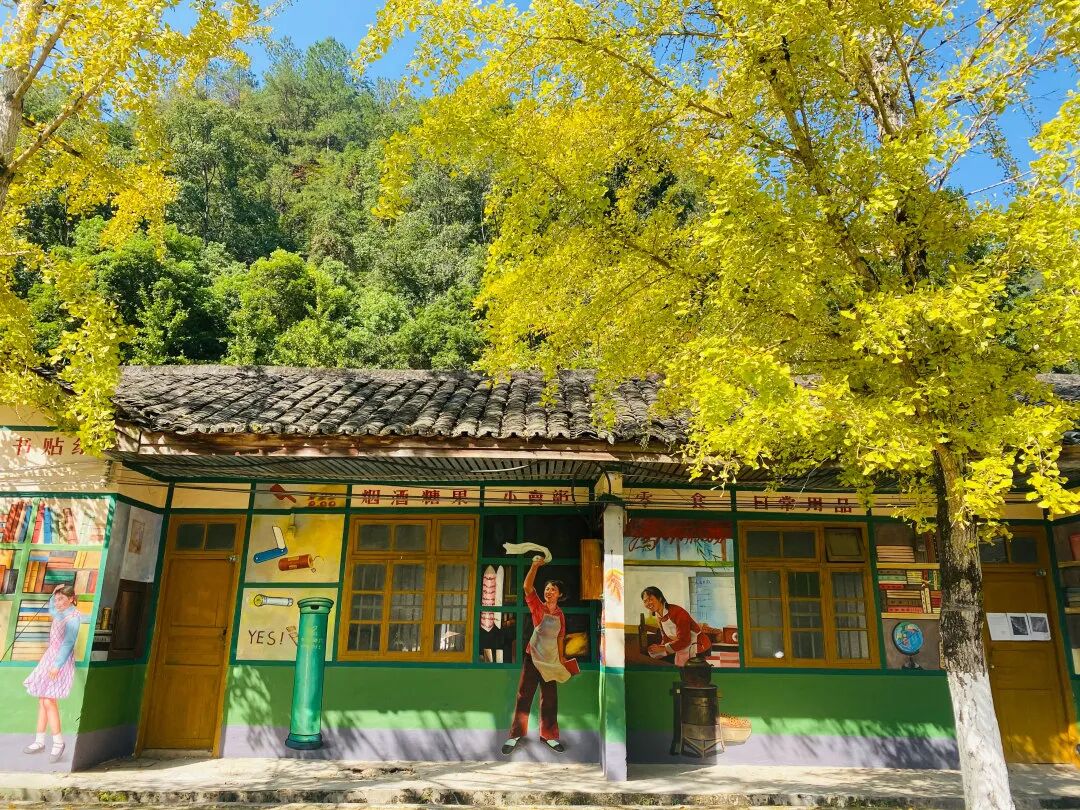 南雄赏银杏游玩攻略，看这一条就够了！(图28)