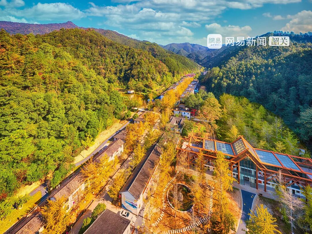 南雄赏银杏游玩攻略，看这一条就够了！(图26)